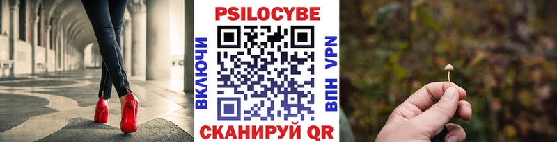 Псилоцибиновые грибы мицелий  mega как войти  Зеленогорск 